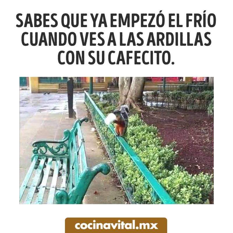 #ViernesdeChavorrucosconMiguel <a href="/AbregoMike/">Miguel Abrego</a> <a href="/YoAmoLa99/">AmoLa99 💙🎶📻 #YoAmoLa99</a> <a href="/ClubChavorrucos/">ClubChavorrucos</a> <a href="/YODEBUENAS/">Miguel Barrientos Mx</a>