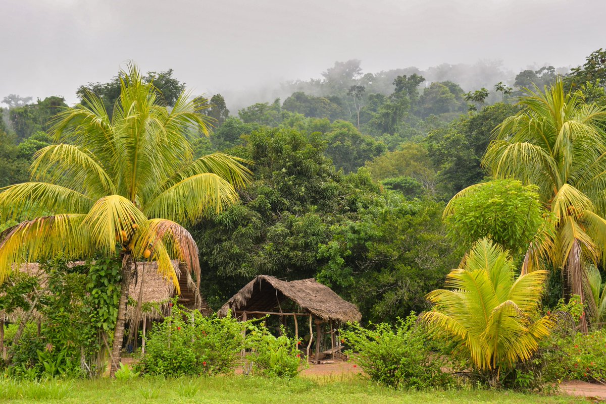 Our partner <a href="/CoolEarth/">Cool Earth</a> works with communities living in the world’s most threatened rainforest.⁠ With our support, they're able to help local people grow sustainable incomes, protect carbon-rich rainforest and preserve our planet now and for the future.