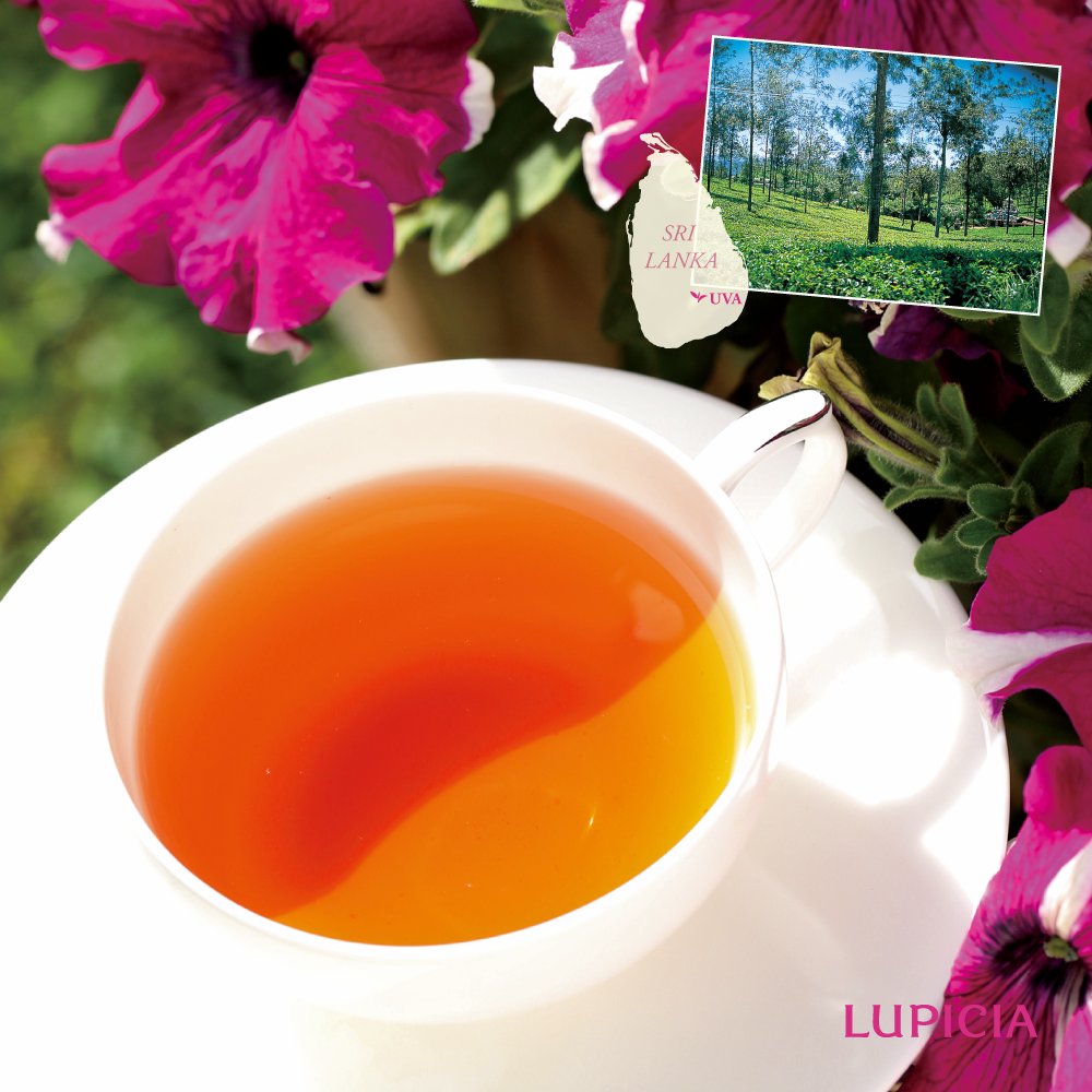 Lupicia ルピシア 本日発売 旬のウバ紅茶 セイロン スリランカ を代表する紅茶産地ウバから新茶が到着しました ミントに似た爽やかさが特徴のウバ紅茶ですが 今年は爽快さの中にフルーティーな風味が感じられるお茶を買い付けることができました Lupicia ルピシア 本日発売 旬のウバ紅茶 セイロン スリランカ を代表する紅茶産地ウバから新茶が到着しました ミントに似た爽やかさが特徴のウバ紅茶ですが 今年は爽快さの中にフルーティーな風味が感じられるお茶を買い付けることができました