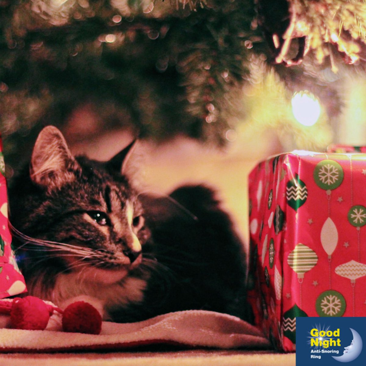 Are you an early Christmas shopper? Find the perfect Christmas gift for the snorer in your life with the Good Night Anti-Snoring Ring over at goodnightsnoring.com 
#gnasr #goodnightantisnoringring #snoring #christmasgift