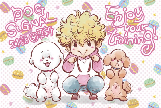 ビションフリーゼのtwitterイラスト検索結果 ビションフリーゼのtwitterイラスト検索結果
