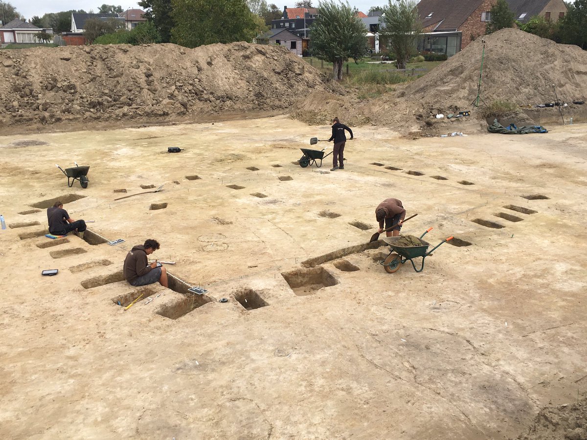 De Logi & Hoorne tweet media