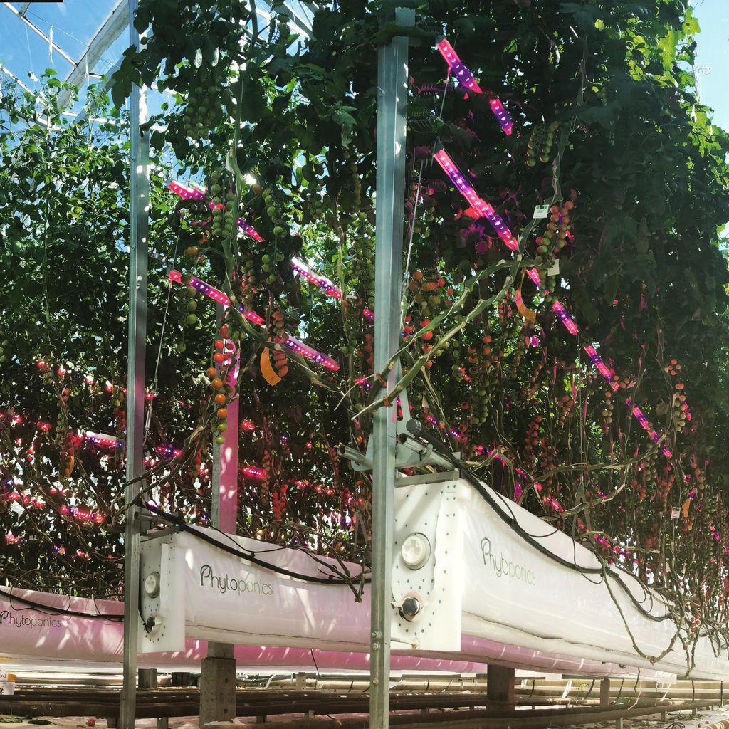 Cardiff University tweet media