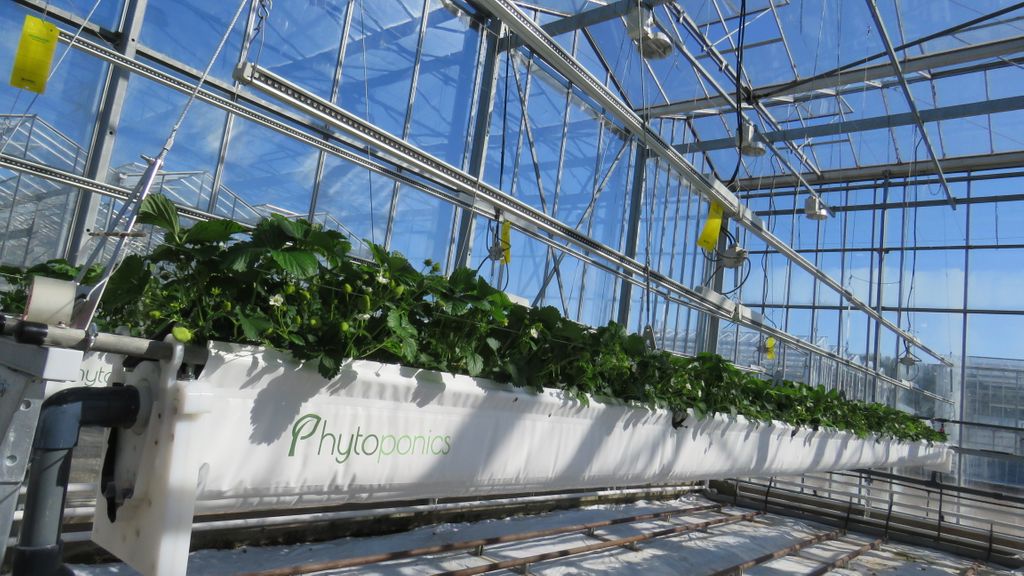 Cardiff University tweet media