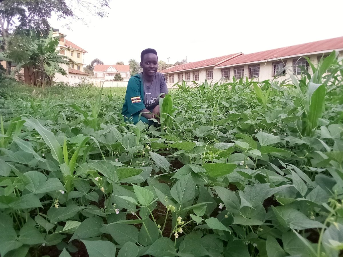 kayemba_b's tweet photo. We've got a right and an obligation to decide our own destiny.The responsibility to feed our population lies entirely on our shoulders. We are working on a new vegetable garden.
Happy independence Uganda. https://t.co/5CAbHhbP8E