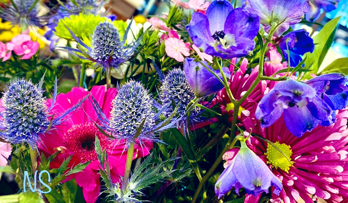 Happy Friday 🍃💙🍃💜
