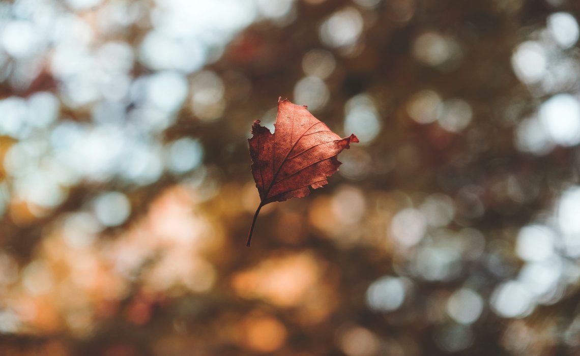 Louna_Stone's tweet image. buff.ly/2I4KH8R

🍁 Autumn playlist 🍁

#BlogtoberWithBOA day 5!

For those wanting to see the challenge so far 🖤

#WeWonderfulBloggersRT