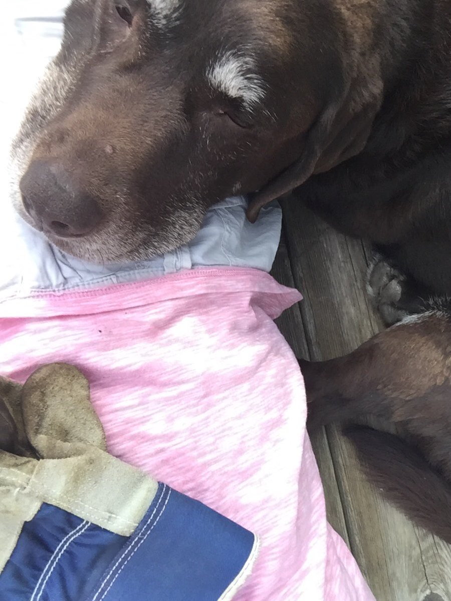 My big hearted, mischievous Murphy is no longer with me.  My heart is sad but filled with memories. I am so happy he was part of my life.