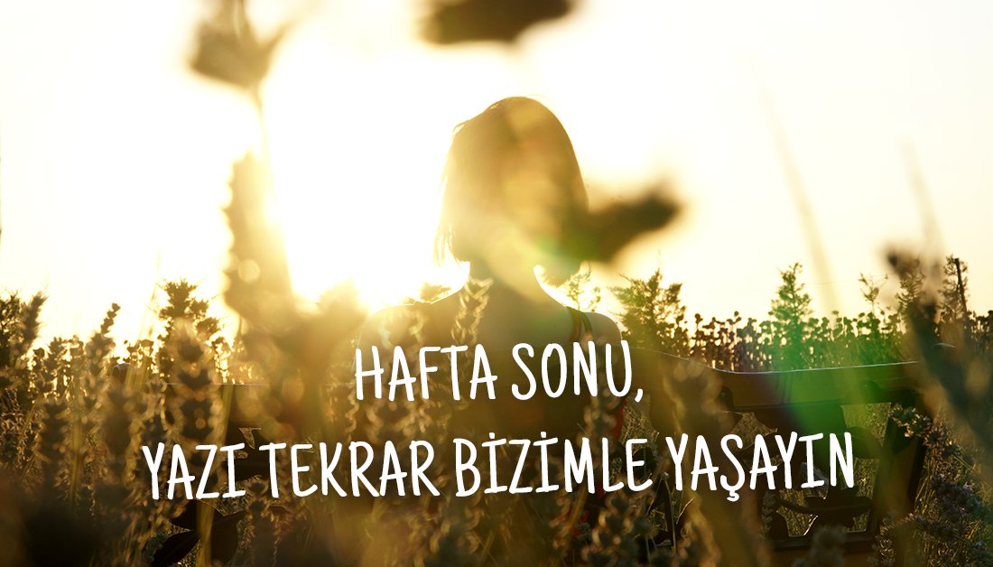 Hafta sonu gelirken yazı tekrar yaşamak, #doğa özlemini gidermek için gelmeniz gereken yer belli: Çilek Evi 😍 Çileğimiz var!

#Çilek #ZehirsizSofralar #Pestisit #temizgıda