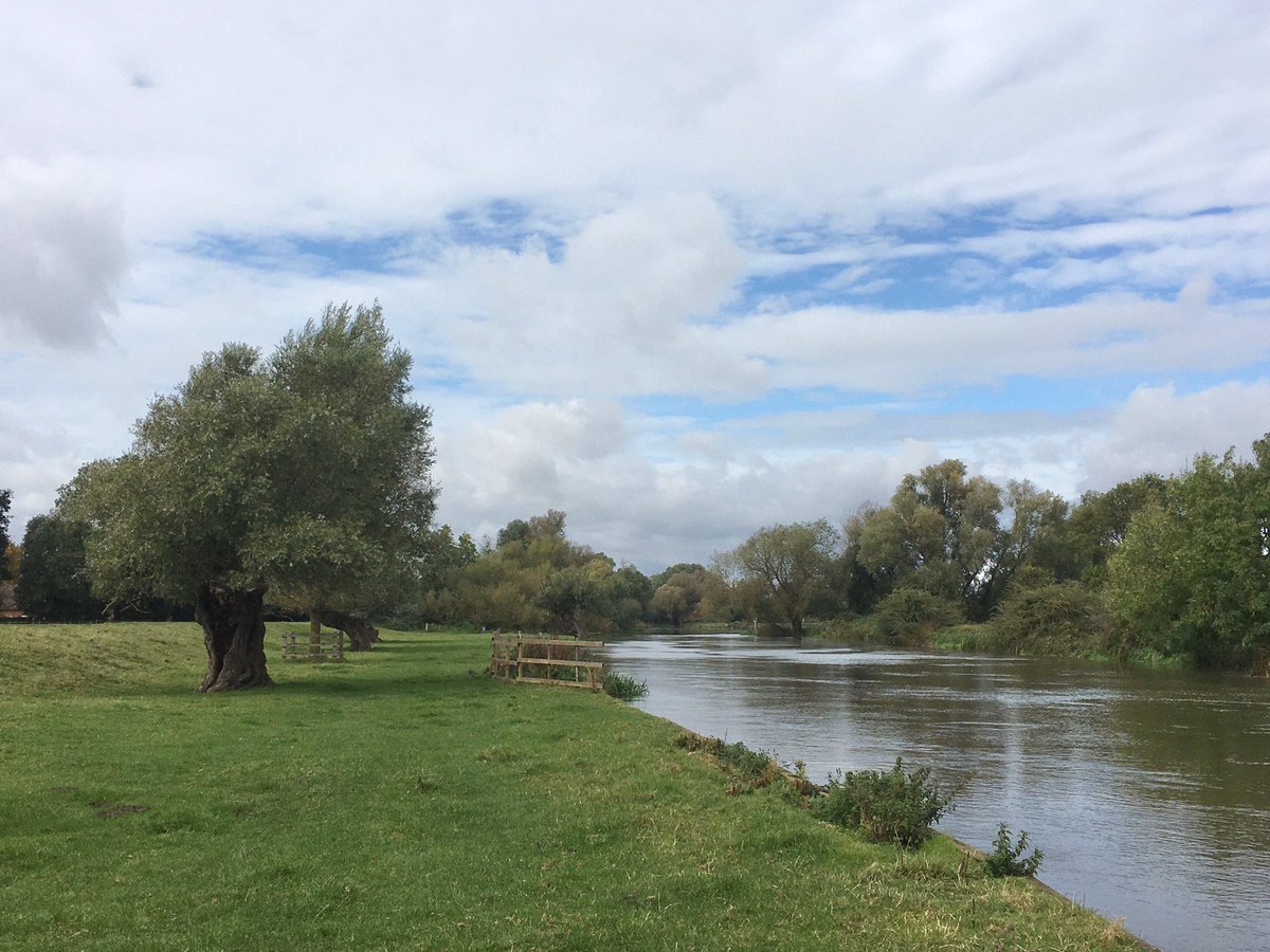 mutley7781's tweet photo. Along #Cambridgeshire waterways
#TheFens
• Willows #HemingfordGrey
• 14th C bridge & chapel #StIves
• Old Bedford River #Earith - River Great Ouse flood drain of 1630
• Ouse Washes - Winter floodplain between Old (far left bank) & New Bedford (right) Rivers #SuttonGault https://t.co/opMcADfH1F