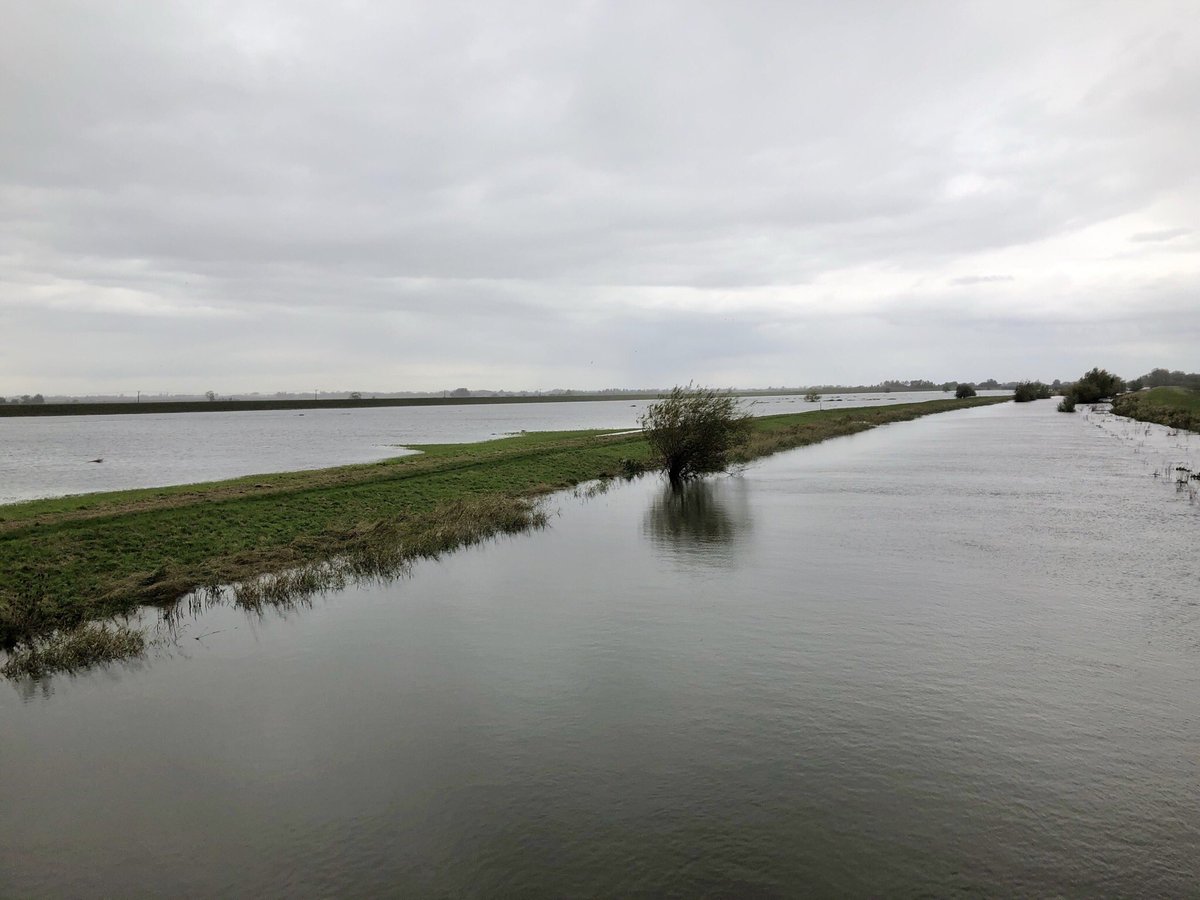 mutley7781's tweet photo. Along #Cambridgeshire waterways
#TheFens
• Willows #HemingfordGrey
• 14th C bridge & chapel #StIves
• Old Bedford River #Earith - River Great Ouse flood drain of 1630
• Ouse Washes - Winter floodplain between Old (far left bank) & New Bedford (right) Rivers #SuttonGault https://t.co/opMcADfH1F