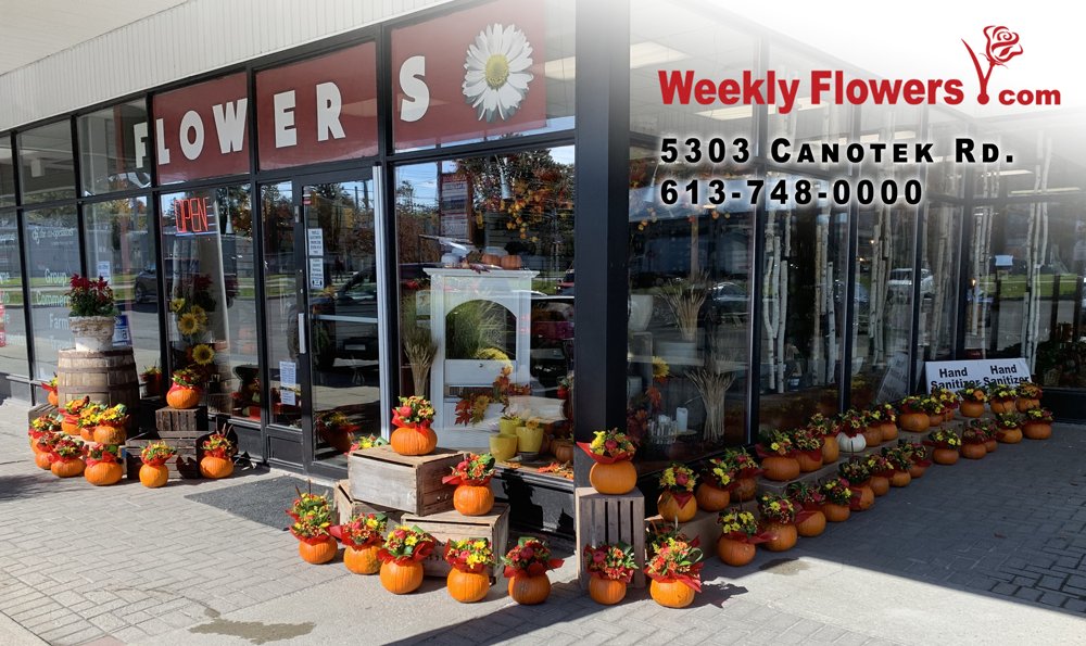 Pumpkin Flower Arrangements are here! Stop by the store for a large selection. Free mini-pumpkins for the kids with purchase.