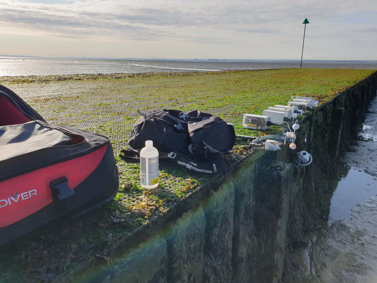 Mark Mulligan (@markmulligan) on Twitter photo Group 2 of #KCLField trip to Thames Estuary. #ClimateChange #SeaLevelRise #RenewableEnergy #MicroClimate #LowCostSensing #Landslides #Flooding sun, rain and mud with <a href="/kclgeography/">King's Geography</a> students and <a href="/flimsin/">Prof Tamsin Edwards</a> Group 2 of #KCLField trip to Thames Estuary. #ClimateChange #SeaLevelRise #RenewableEnergy #MicroClimate #LowCostSensing #Landslides #Flooding sun, rain and mud with <a href="/kclgeography/">King's Geography</a> students and <a href="/flimsin/">Prof Tamsin Edwards</a>