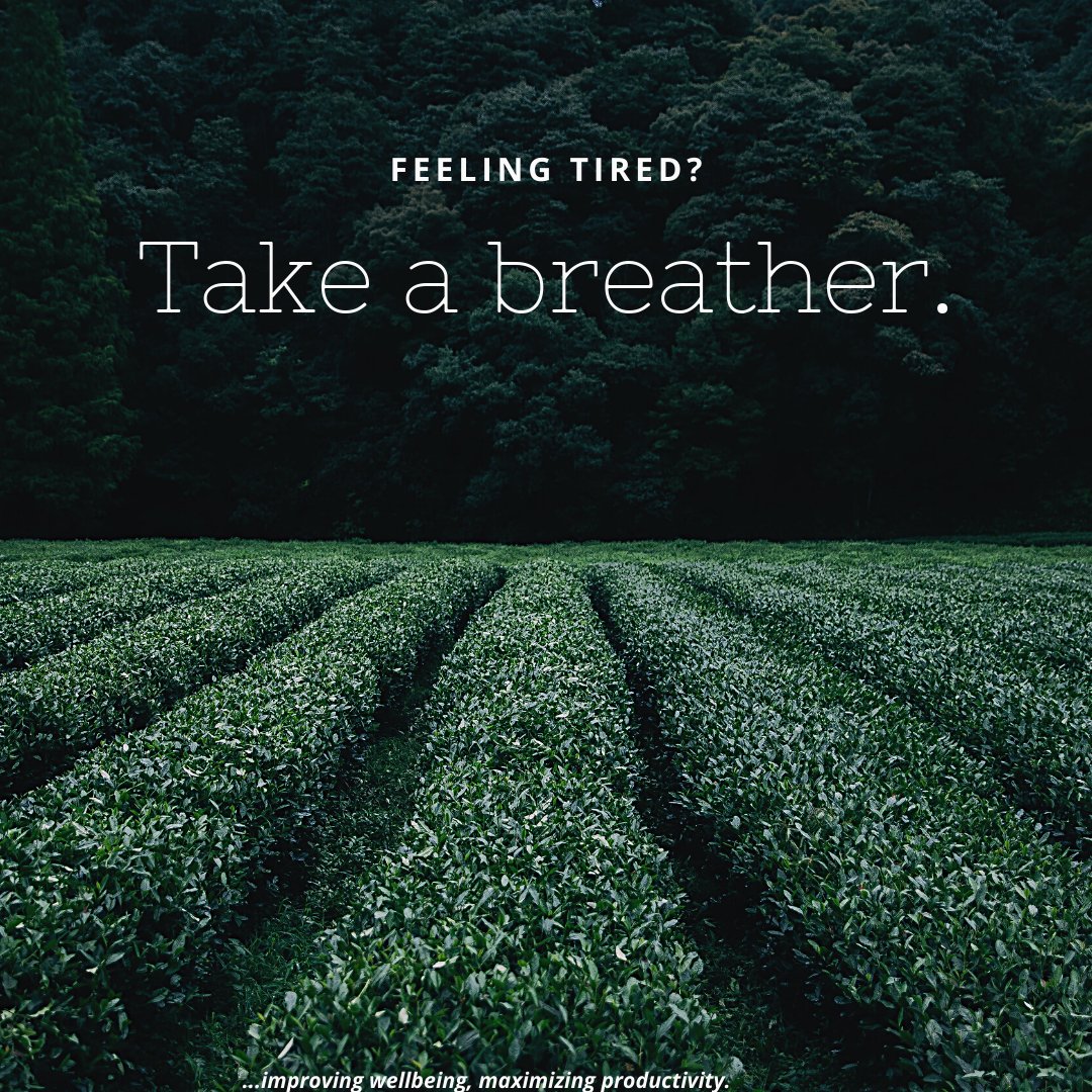 patconsultingng's tweet photo. Take a breather, you deserve it.
Conscious breathing is the best antidote to stress, anxiety, and depression.โ โ Amit Ray.
#breathe #welldone #mindfulness #mentalhealth #improvingwellbeing #maximizingproductivity #fridayfeeling #employeewellbeing #patnigeria #nigeria https://t.co/8gIQLvQqiZ