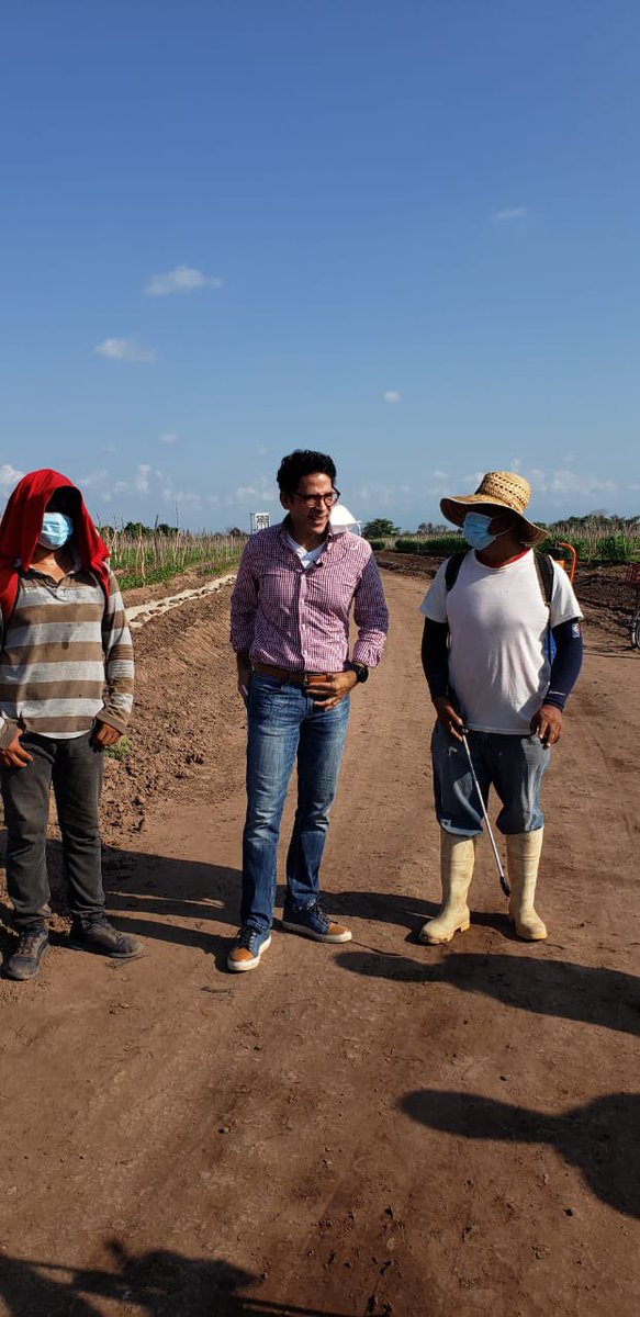 JuanAlfonsoML's tweet photo. #findesemana, vine al campo agrícola “Cachanilla”, en Elota para hacer entrega de mobiliario, uniformes, útiles y calzado a los alumnos, el Gobernador @QuirinoOC tiene como prioridad que la educación mejore en #Sinaloa y seguimos cumpliendo. https://t.co/FTst7FmVZM