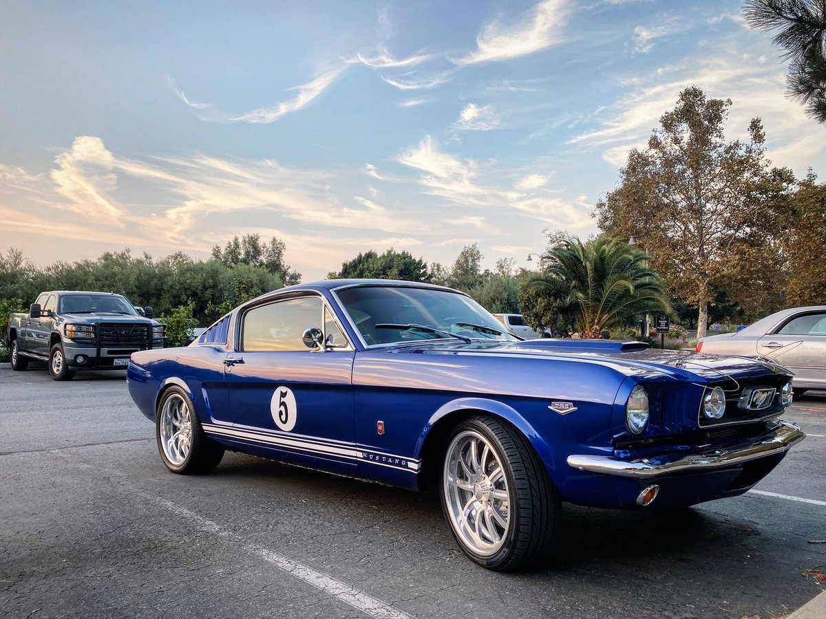 Megpanduh's tweet photo. Shit is real weird right now here in the good old U S of A... Here’s a pretty #mustang https://t.co/n61JbKEVE2