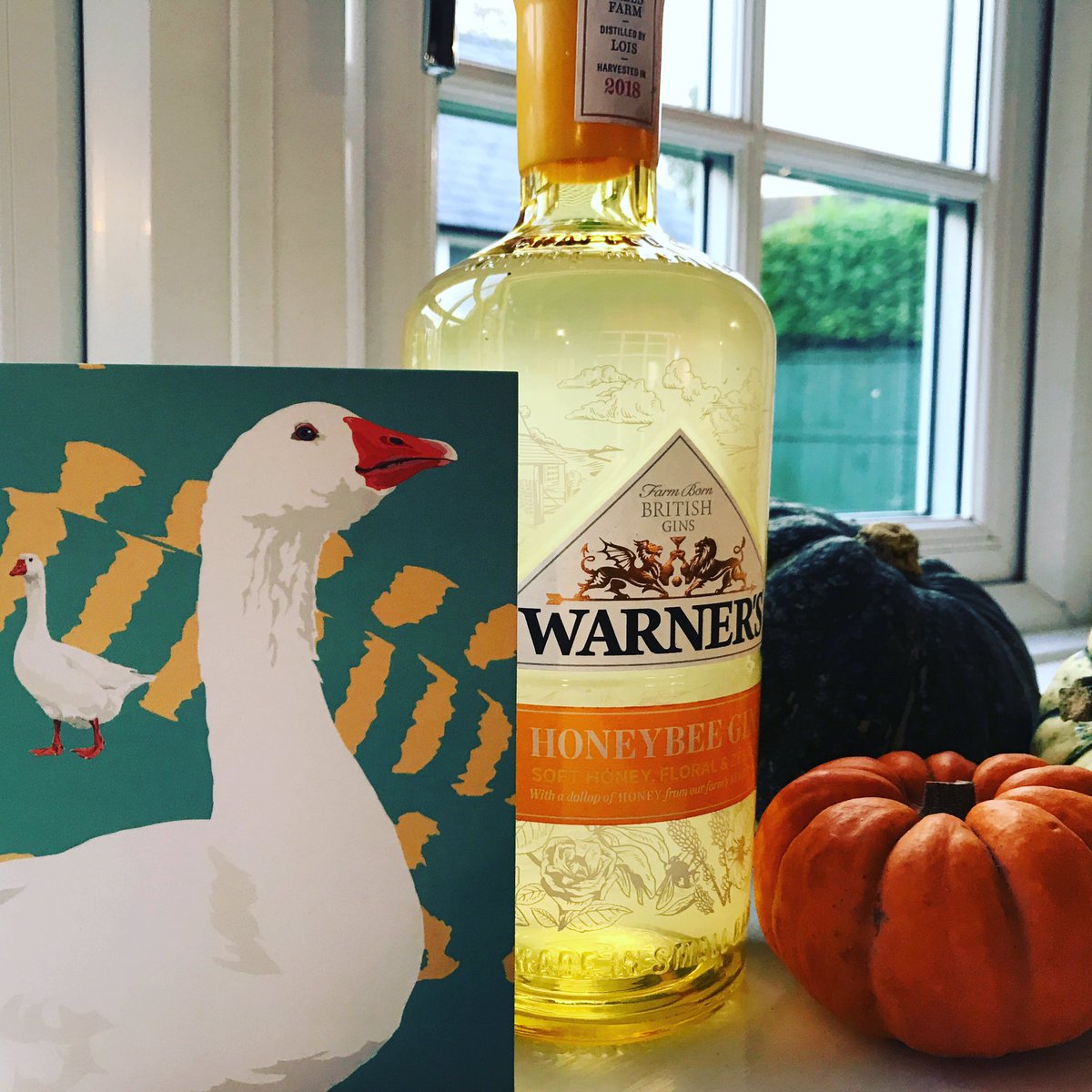 birdonthewireuk's tweet photo. Wow what a lovely surprise from @Eyebrook_Birds! The team has been amazing to work with and was so pleased the business benefited from the campaign 😄 https://t.co/Bpf045jra5