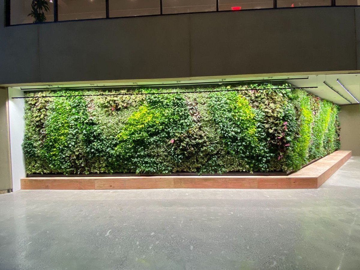 The lobby at Lightwell just came to life! 🌿 Absolutely stunning installation by <a href="/SempergreenUSA/">SempergreenUSA</a> Group. This adds so much beauty to Lightwell Kansas City. 🌿 #KansasCity #LightwellKC #commercialrealestate #CRE #LivingWall #GreenWall #SustainableDesign