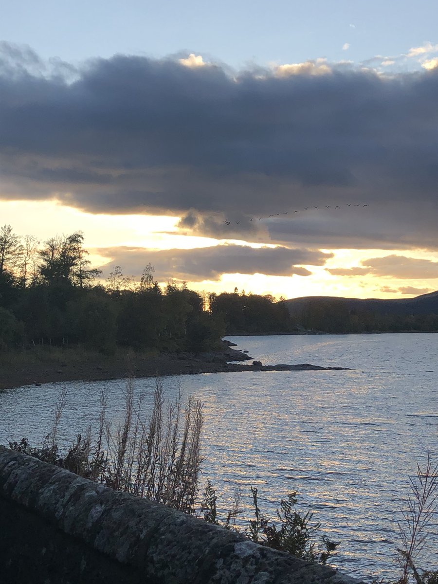 Lintrathen Cycles tweet media