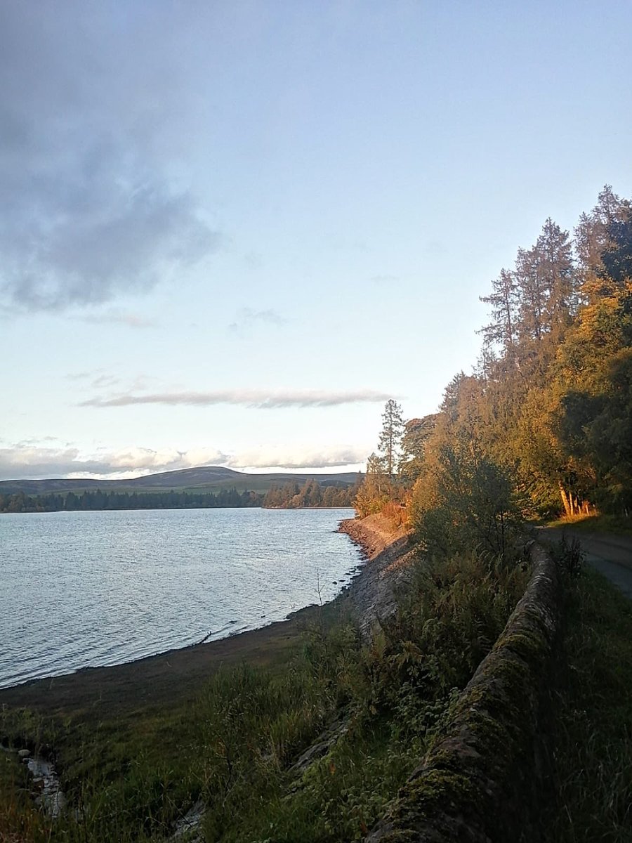 Lintrathen Cycles tweet media