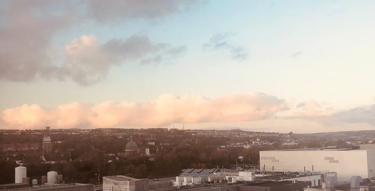 Corinna Sadlier tweet media