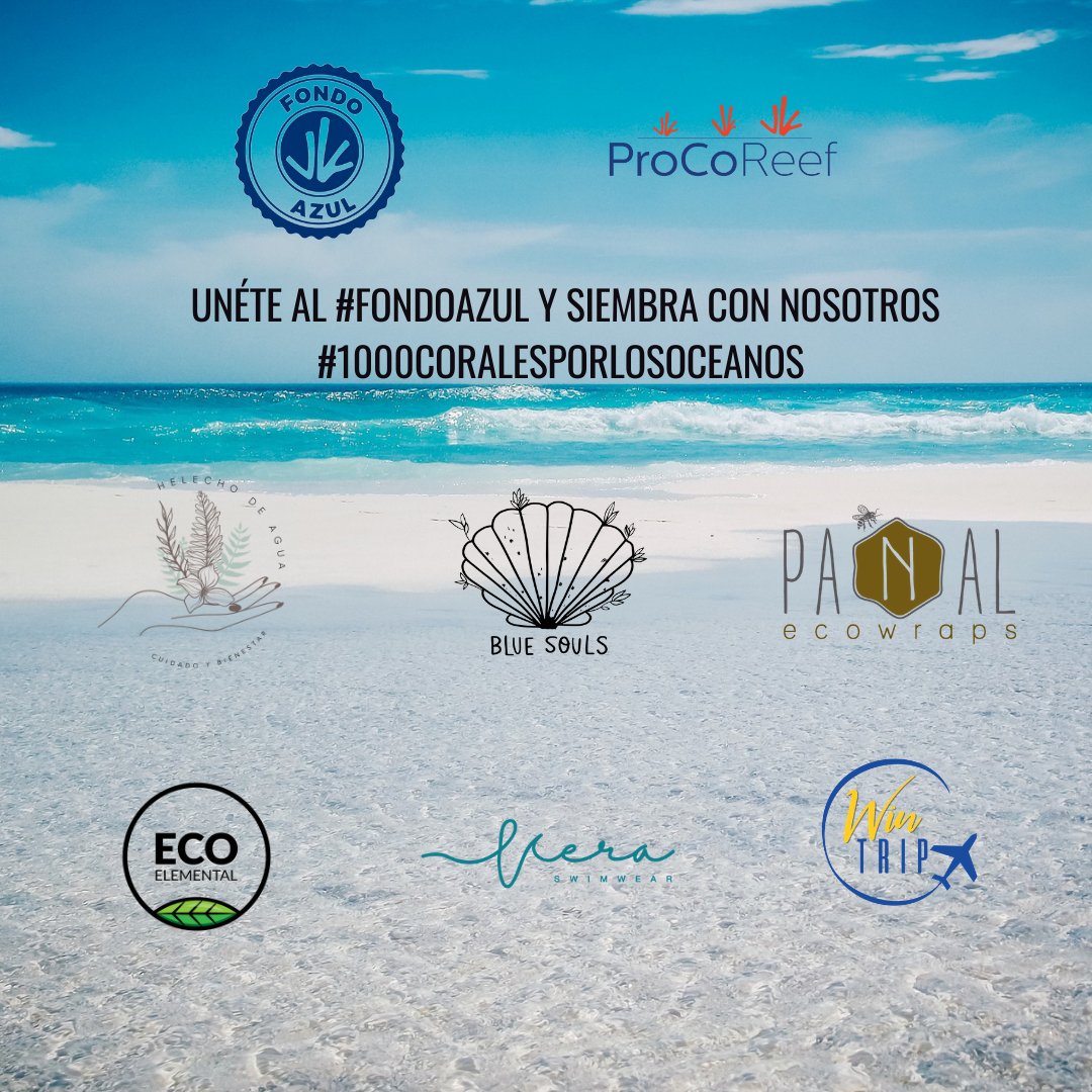ProCoReef's tweet image. 🌊🐠 Este mes de octubre queremos resaltar de que manera a través del Fondo Azul de Procoreef, marcas y empresas pueden contribuir a “Cultivar, Nutrir y Preservar” Lema escogido por la @FAOenEspanol  este año para celebrar el día mundial de la alimentación.
#FondoAzul #Agenda2030