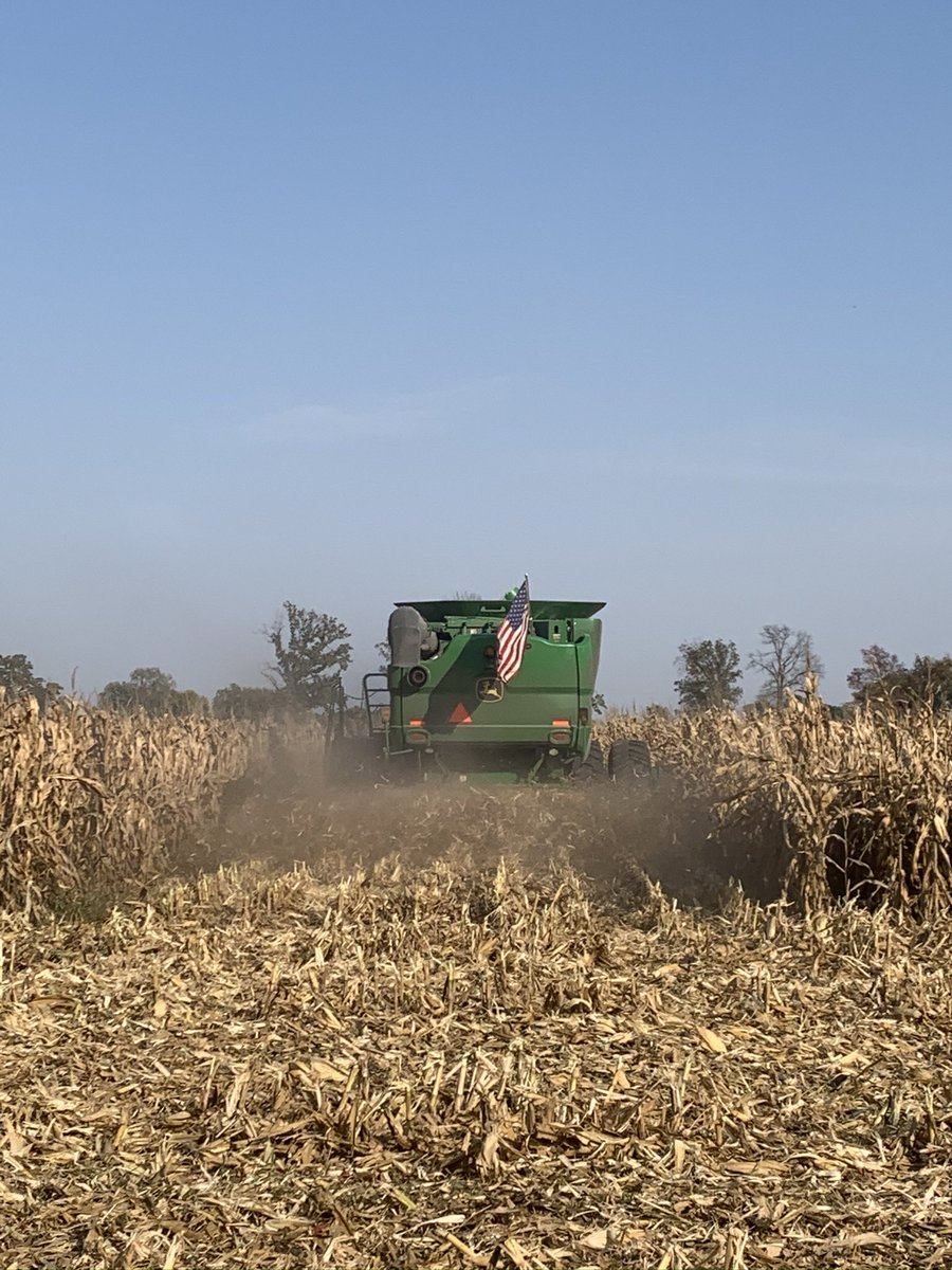 T_Richardson14's tweet photo. Harvest time is the best time. 54VC14 treated with Awaken CoFloww flexes it’s muscle again. #leadingthefield #thedynagrodecade @ag_central @DynaGroSeed https://t.co/l5jb1sTiIe