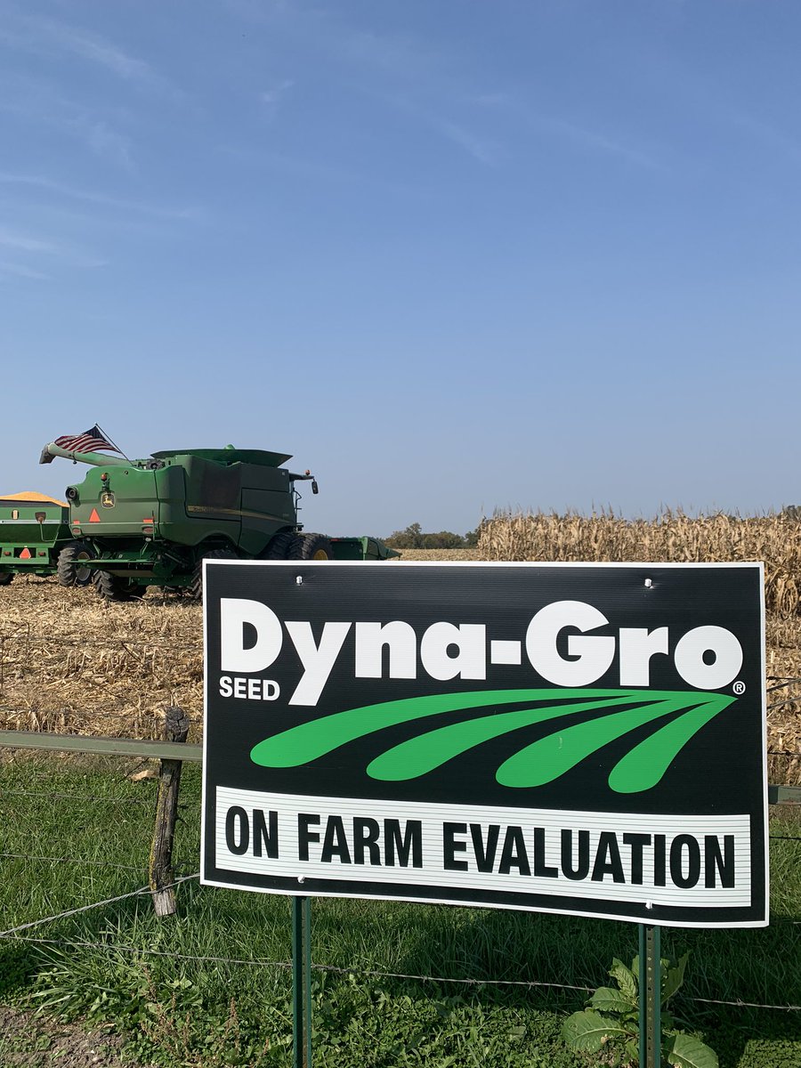 Harvest time is the best time. 54VC14 treated with Awaken CoFloww flexes it’s muscle again. #leadingthefield #thedynagrodecade <a href="/ag_central/">Nutrien Ag Solutions- WC IL/MO Division</a> <a href="/DynaGroSeed/">Dyna-Gro Seed</a>