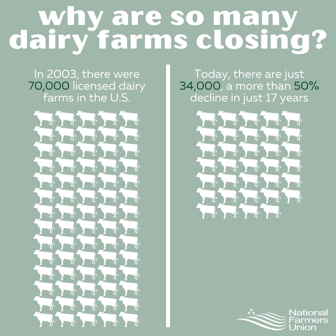 You've probably heard that American dairy farms are rapidly going out of business. This is true - since 2000, more than half have shuttered.

But why is this happening?