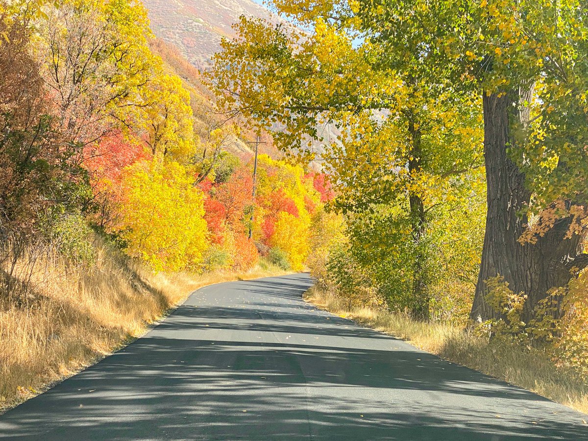 JohnWVision's tweet photo. I love this time of the year! The leaves are changing colors and the weather is getting cooler. Just like how the leaves that change color, we too can change for the better and into something beautiful. Whatever you want to be or do, it is never too late.

#ZENNOA #change #fall https://t.co/TtHKX3JAmc