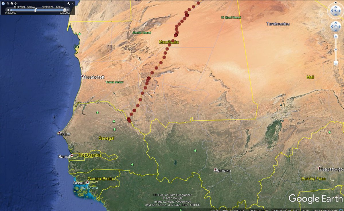 rutlandospreys's tweet image. 4K(13) is just about to cross into Northern Senegal! Very close now 🦅