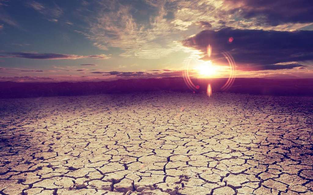 François GARREAU tweet media