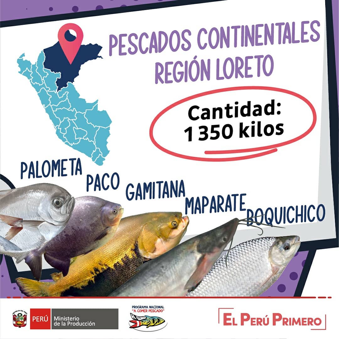 AComerPescado's tweet photo. 🙋🏻🙋🏻‍♀️ Mediante las ferias "Mi Pescadería", diversos productos hidrobiológicos llegaron a más regiones del país.🐟 🇵🇪
🎉 Hoy felicitamos a nuestras #RegionesPower del mes de setiembre. 💪🏼👏🏼
#ComeSanoComePescado 

Lee la nota aquí ⬇️
https://t.co/sxx2pBP3S3 https://t.co/1zTqbvGCX1
