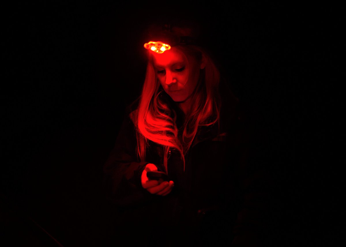 Cool photo by @JohnWendle taken last winter during our night surveys searching for #wolves with <a href="/AtlasGoldenWolf/">Atlas Golden Wolf Project</a>