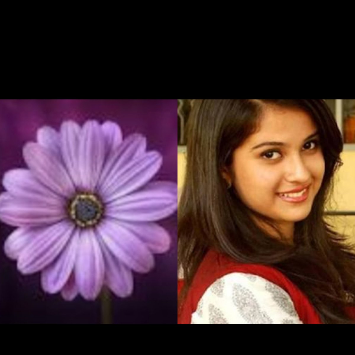 Guys as v r fyting for SSR
Y there is no protest for Disha

pls post d pic wid flower n lets fyt for her justice too
as both d cases r interlinked
#CBIStopDelayingSSRCase
#SSRDishaHomicide 

@ishkarnBHANDARI 
@nilotpalm3 
@shwetasinghkirt