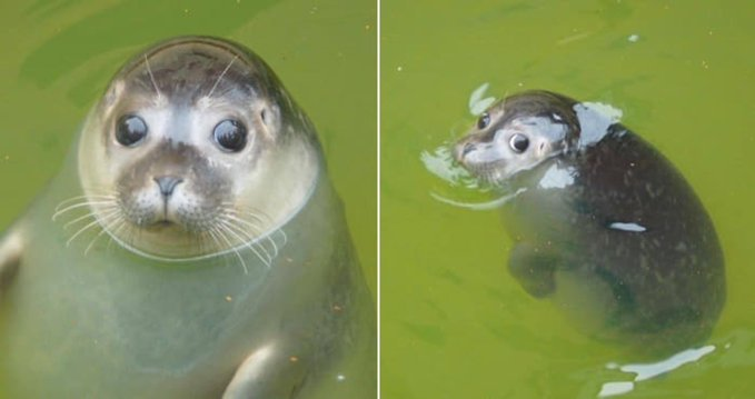 Keyword Stats 2020-10-22 at 19_58_36