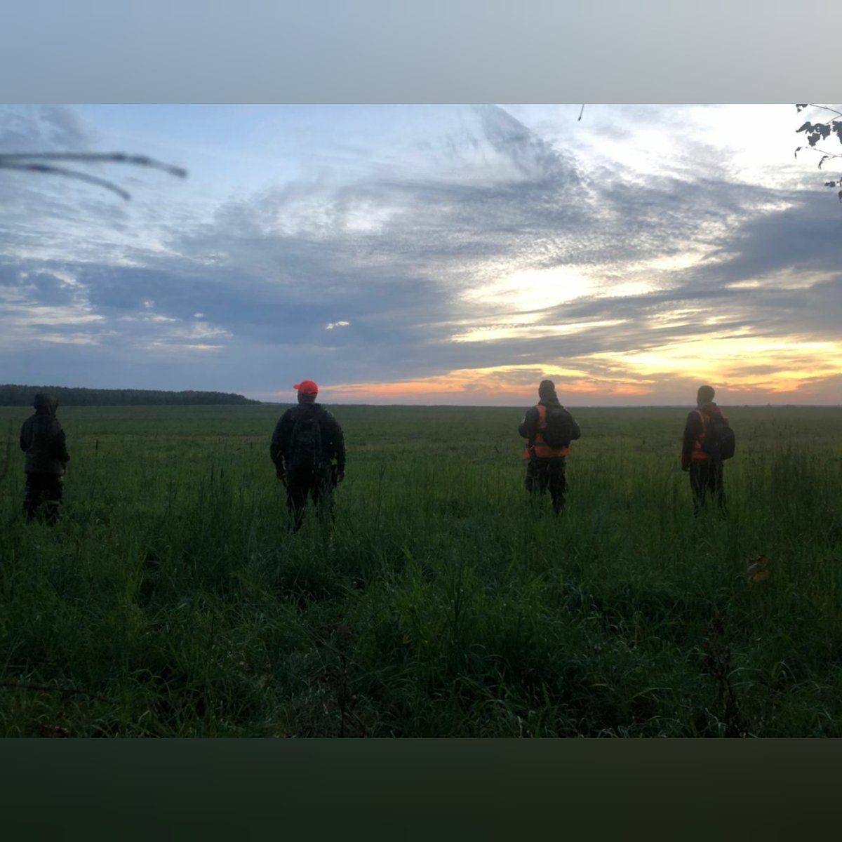 Семилетний Савелий #Роговцев из  с. Горки Камешковского района Владимирской области до сих пор не найден. Одиннадцатые сутки скурпулезной работы и полной неизвестности. Одиннадцать суток полных надежды и страхов за маленького Саву.

За это время… t2p.pw/eYlDhsrZsK