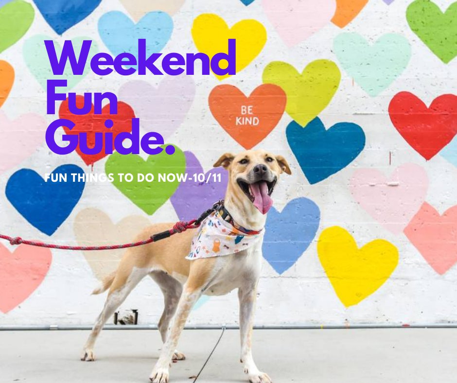 KristenAuten's tweet photo. Happy Friday!🥳 
Enjoy Some Great Activities This Weekend!💜
Have Fun!🤩
Dance In The Rain Or Stay Dry! (whichever you prefer)💃☔️
&amp;
Be Kind!🤗

👉https://t.co/GPxg0SomxL👈
&amp;
👉https://t.co/Mkh8gvxH2E👈

#clt #fridayvibes #weekendvibes #kristenauten https://t.co/9c8WejJOXI