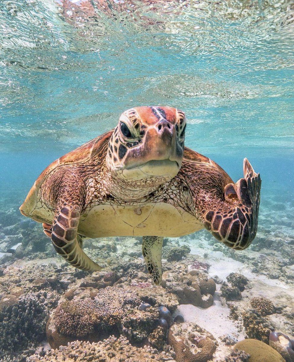 MonicaCarrillo's tweet photo. La madre naturaleza nos está hablando. https://t.co/CSrXAZRbAn