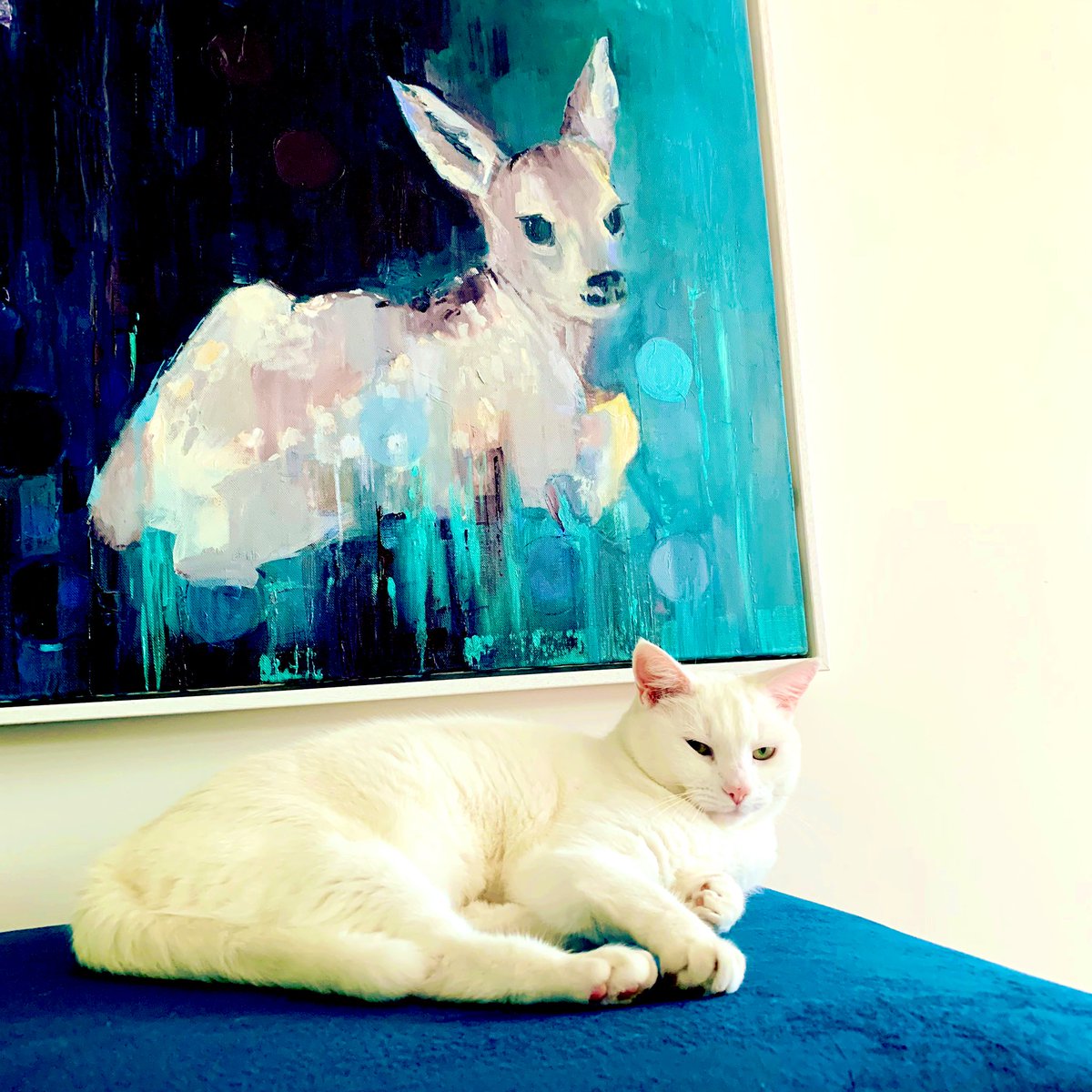 GraceWaring22's tweet photo. Furry Friday feeling π»π»
#Friday #FridayFeeling #FridayFeels #GrumpyBlueCat #CatsOfInstagram #catphoto #Cats #cat #catlife #petsoftwitter #pets #loveanimals #blue_sky_cats #catlovers #cats_of_instworld #catscatscats #catpicture #catworld https://t.co/JKnolJtkwA