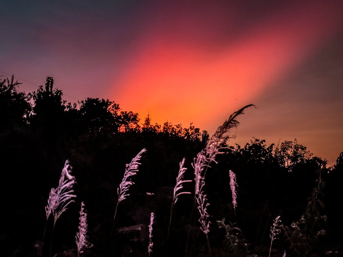 EditsPoint's tweet photo. Today evening shoots 📸
#pabitraeditspoint #pabitraedits 
#nature #naturephotography #naturelovers #NatureLover #natureza #Naturegram #natureporn #natureaddict 
#evening #eveningdress #eveningsky #eveninggown #evenings #eveningwalk #eveningwear #eveninglight #eveningmood https://t.co/SF4cMk5jL8