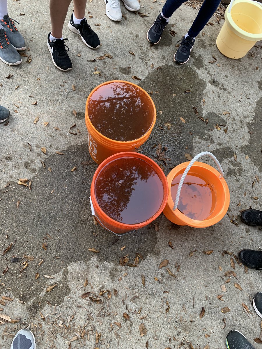 Mrs. McRae's Class tweet media