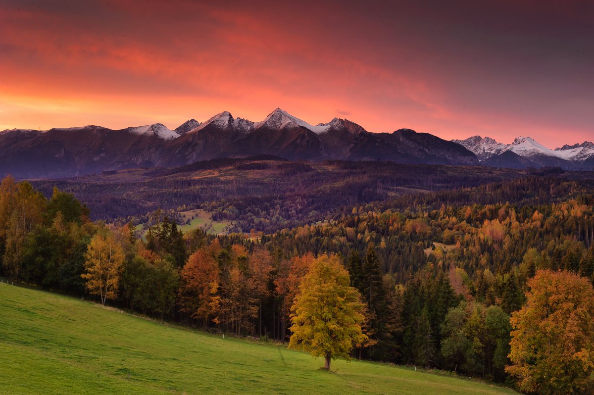 Dziś o poranku Tatry z Łapszanki prezentowały się tak...😍😍😍

W wyższych partiach leży warstwa świeżego śniegu a na Podhalu piękna polska jesień🍁 ⛰❄📷🍂
<a href="/tvn24/">tvn24</a> <a href="/tvnmeteo/">TVN Meteo</a> <a href="/MeteoprognozaPL/">meteoprognoza.pl🇵🇱</a> <a href="/tvp_info/">tvp.info 🇵🇱</a> <a href="/NaSzczycieTeam/">Magazyn NA SZCZYCIE</a> @TATRY_pl <a href="/PTatrzanski/">Portal Tatrzański</a> <a href="/Tatromaniakpl/">Tatromaniak</a>
@NikonPolska <a href="/IMGWmeteo/">IMGW-PIB METEO POLSKA</a>