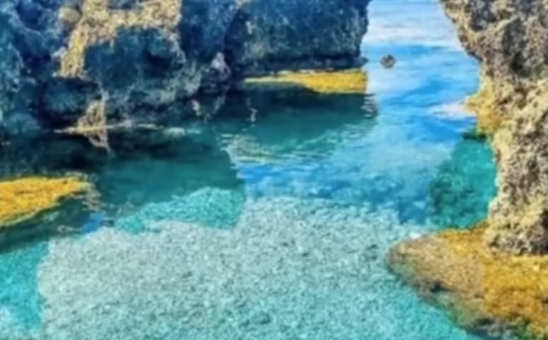 VACpackers's tweet photo. Striking seascapes dotting the Ilocandia coastline and is truly visit-worthy, Pangil Coral Rock Gardens! 

#currimao 
#pangil 
#pangilcoralrockgarden 
#IlocosNorteIMIN 

📸 : CTTO 

📽 : Full video - link in bio https://t.co/1Obmyf1gz4