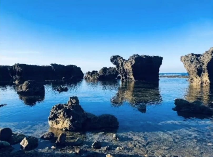 VACpackers's tweet photo. Striking seascapes dotting the Ilocandia coastline and is truly visit-worthy, Pangil Coral Rock Gardens! 

#currimao 
#pangil 
#pangilcoralrockgarden 
#IlocosNorteIMIN 

📸 : CTTO 

📽 : Full video - link in bio https://t.co/1Obmyf1gz4