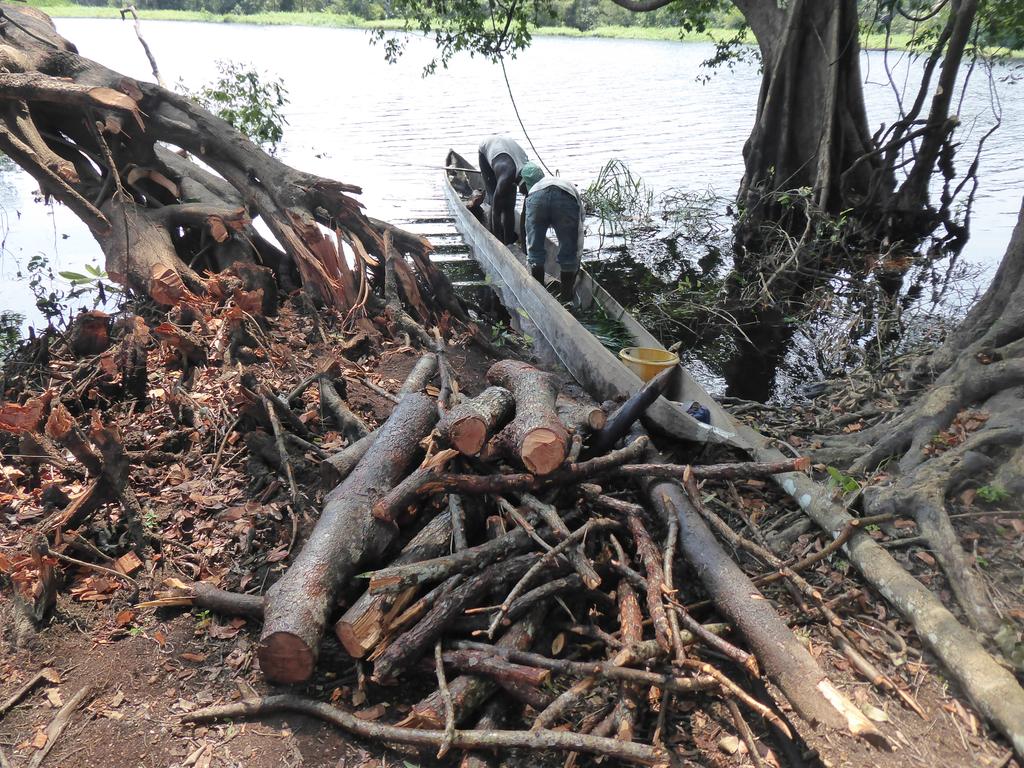 GasheOngd's tweet photo. #RTM La forêt étant l'unique source de revenu pour les communautés locales et les peuples autochtones, Les exploitants forestiers sont appelés à observer le respect de la réglementation en vulgaire #codeforestier pour un avenir promettant des communautés locales. @RFUK https://t.co/L0JluSFomG