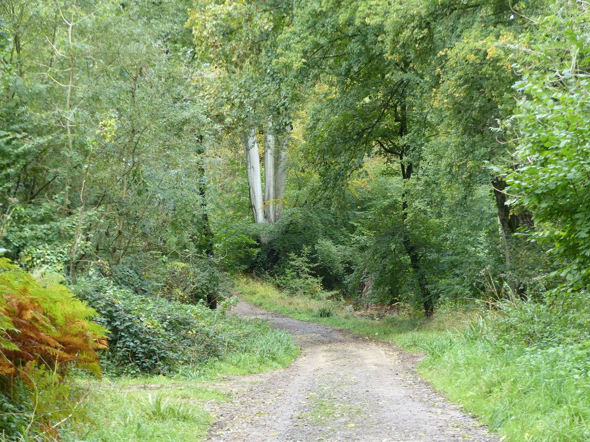 There is no sense of self or other when in the natural world. I am woven into and my body is made of this magical fabric.