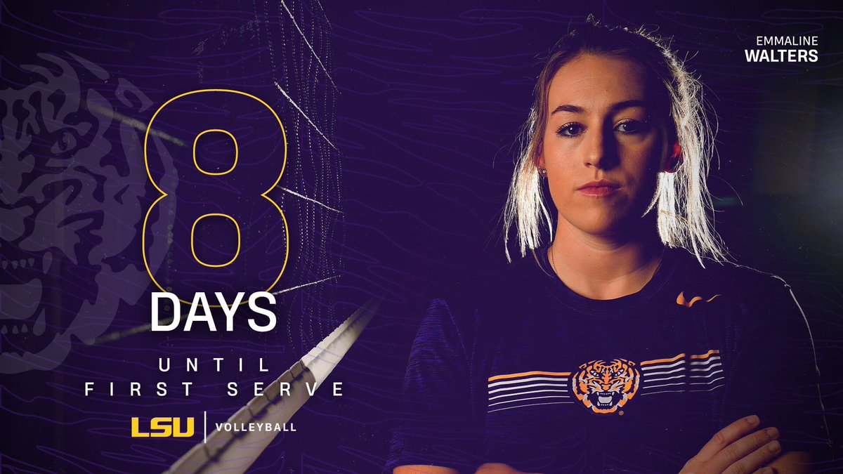 LSU Volleyball tweet media