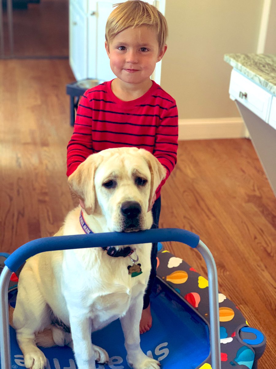 Jenna Boker tweet media