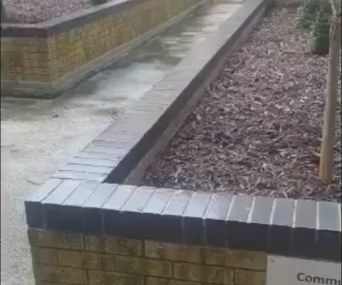 cleankilluk's tweet photo. Alan returns to #Feltham to see how effective the #bird #pestcontrols instigated by Cleankill Pest Control have been. The results are astounding.
https://t.co/rtwsywR0gN https://t.co/RzHJPi4Ubo